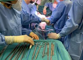 Asl Viterbo: "Eseguito a Belcolle il primo trattamento con tecnica Reboa su un paziente di 42 anni con shock emorragico"