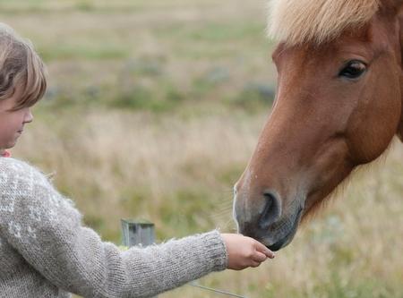 Il progetto Ippo in campo coinvolge dodici minori e adulti con disabilità psico-fisica in un'avventura relazionale-emotiva con i cavalli