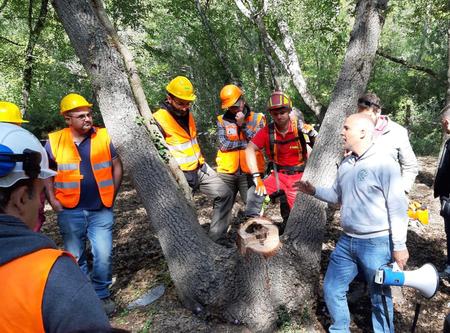 Presso l'università Agraria di Tarquinia si è svolto lo scorso weekend il corso di formazione in campo sulla sicurezza nei lavori forestali
